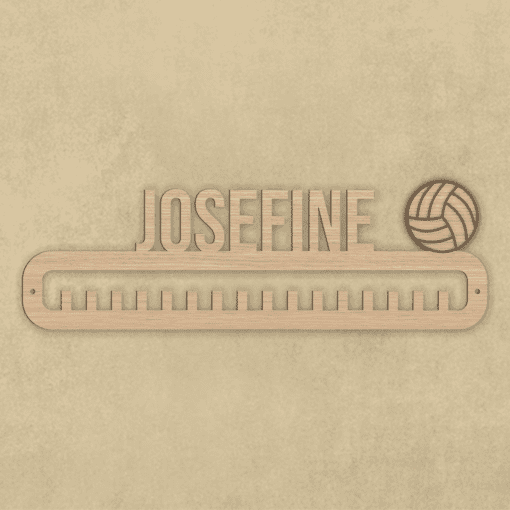 medaljeholder volleyball